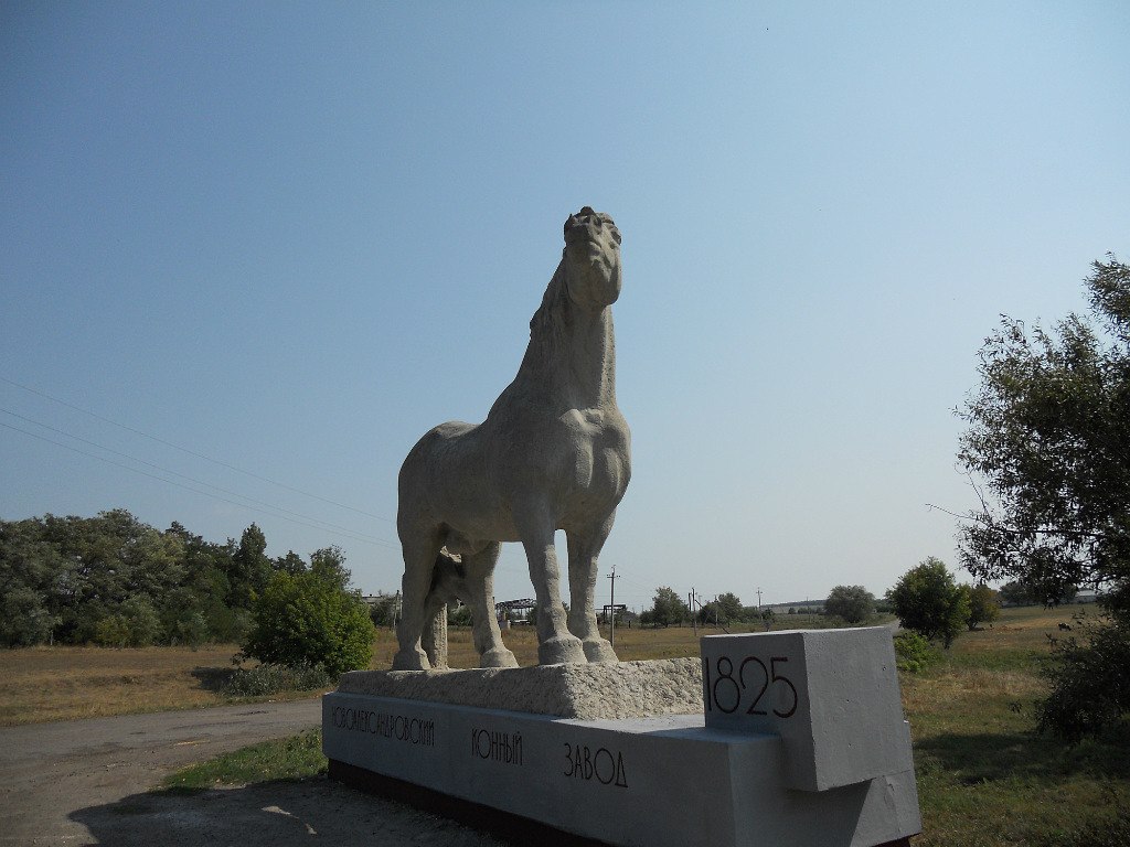 Новоолександівський кінний завод 1_o