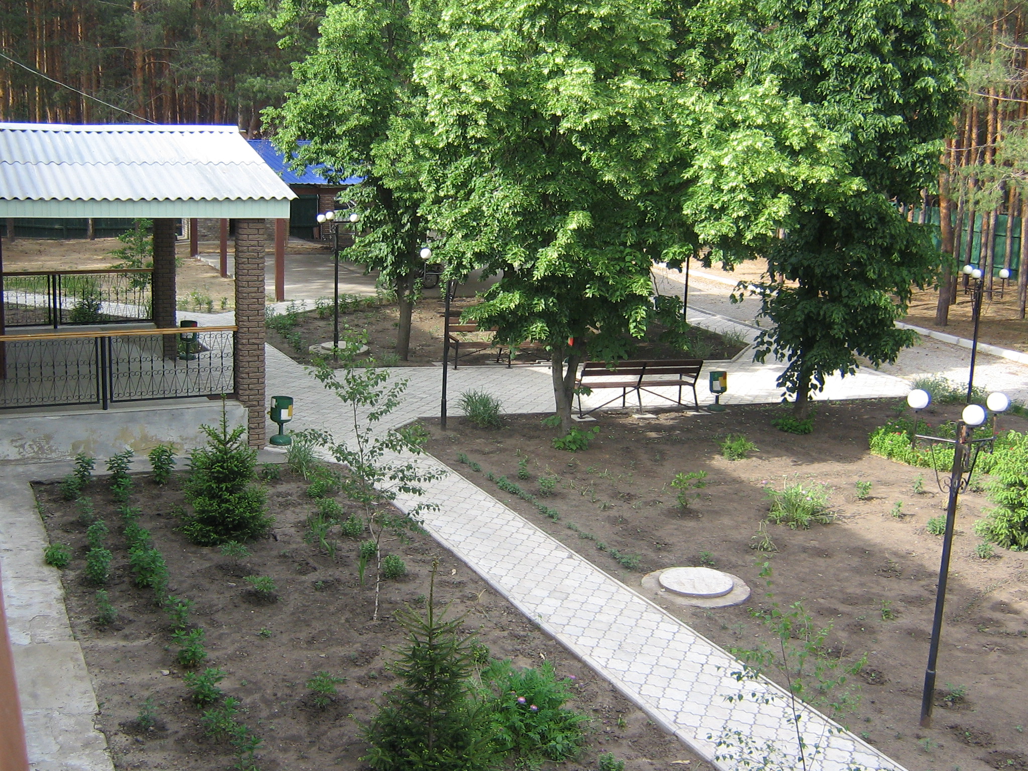 сосновий бір1