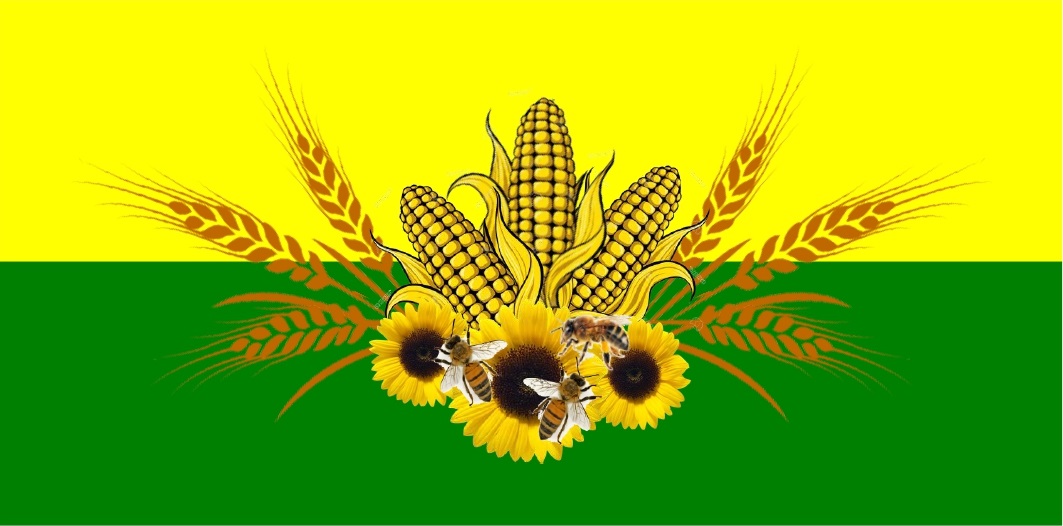 флаг Чмирівська отг флаг Чмирівська отг